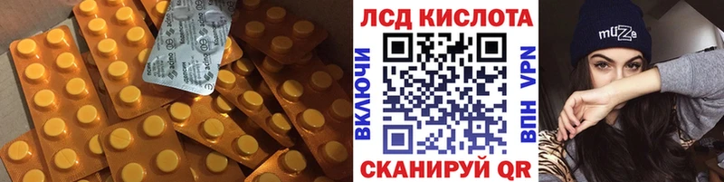 LSD-25 экстази кислота  KRAKEN онион  Шенкурск 